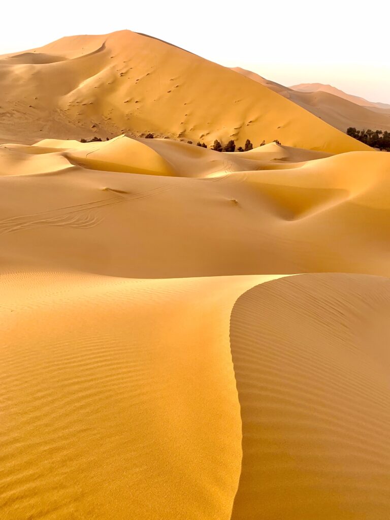 Desierto